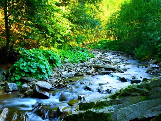 stream stream